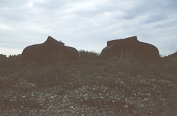 Holy_Island_071.jpg