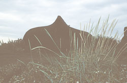 Holy_Island_072.jpg