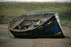 Holy_Island_076.jpg
