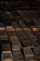Punts,_R_Cherwell,_Oxford_-005.jpg