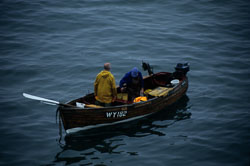 Transport016.jpg