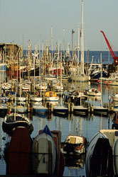 Bridlington_Harbour_-074.jpg