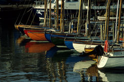 Bridlington_Harbour_-077.jpg