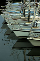 Bridlington_Harbour_-083.jpg