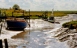 Gibralter_Point_005.jpg