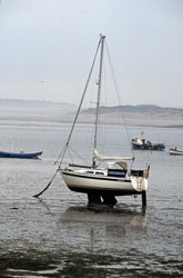 Holy_Island_067.jpg