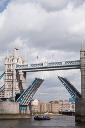 Tower-Bridge--513.jpg