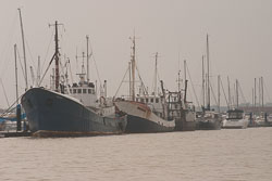 Boats_2.jpg