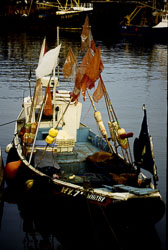 Bridlington_Harbour_-002.jpg