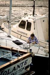 Bridlington_Harbour_-011.jpg