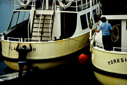Bridlington_Harbour_-017.jpg