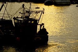 Bridlington_Harbour_-023.jpg