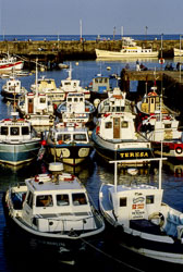 Bridlington_Harbour_-030.jpg