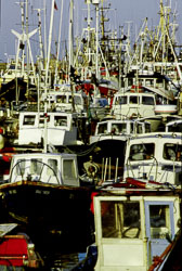 Bridlington_Harbour_-031.jpg