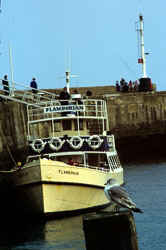 Bridlington_Harbour_-079.jpg