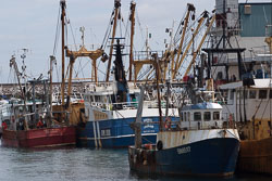 Brixham_037.jpg