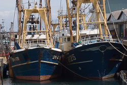 Brixham_038.jpg