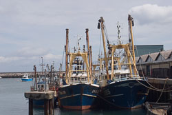Brixham_039.jpg