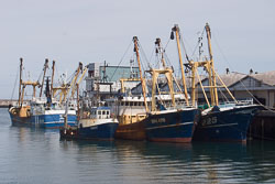 Brixham_076.jpg