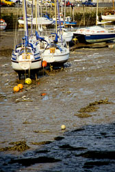 Conwy_005.jpg