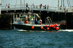 Scarborough_Harbour_001.jpg