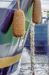Scotland_156.jpg