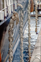 Scotland_158.jpg