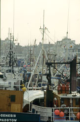 Whitby_Harbour_-001.jpg