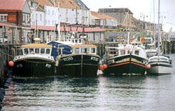 Whitby_Harbour_-003.jpg