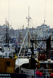 Whitby_Harbour_-007.jpg