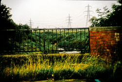 Peak_Forest_Canal_-025.jpg