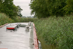 Canal_2006_047.jpg