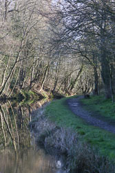 Llangollen_Canal-146.jpg