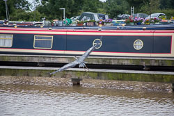 Heron_Aqueduct_Marina_Middlewich_Branch_Shropshire_Union_Canal-002.jpg