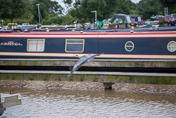 Heron_Aqueduct_Marina_Middlewich_Branch_Shropshire_Union_Canal-003.jpg