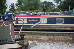 Heron_Aqueduct_Marina_Middlewich_Branch_Shropshire_Union_Canal-004.jpg