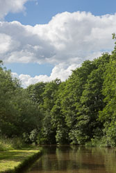 Shropshire_Union_Canal-531.jpg