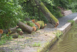 Woodseaves_Cutting_Shropshire_Union_Canal-019.jpg