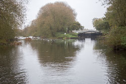 River_Avon-026.jpg