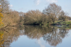 River_Avon-097.jpg