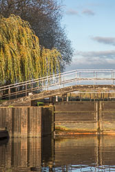 River_Avon-121.jpg