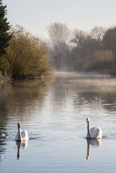 River_Avon_Barton-002.jpg