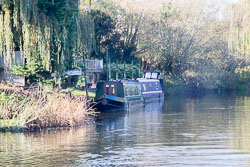 River_Avon_Barton-019.jpg