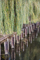 River_Avon_Stratford-Upon-Avon-017.jpg