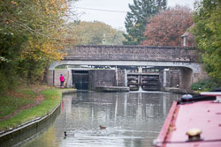 SUAC_Welsh_Broad_Lock-001.jpg