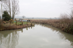 Oxford_Canal_South-916.jpg