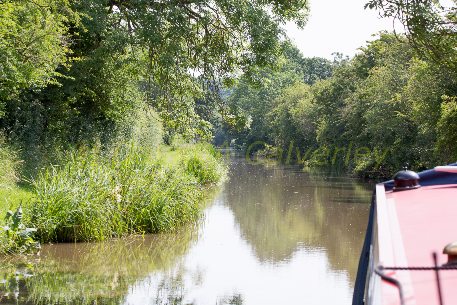 Ashby_De_La_Zouch_Canal-041.jpg