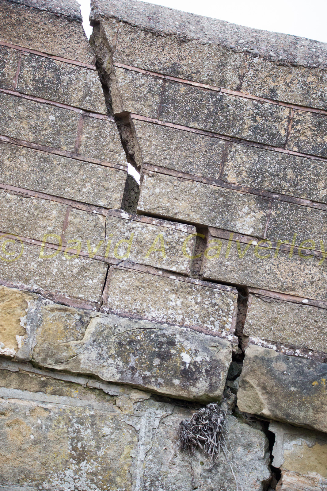 Ashby_De_La_Zouch_Canal-051.jpg
