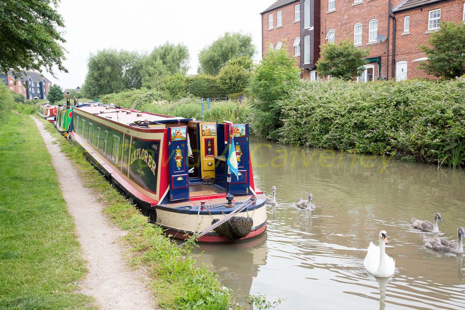 Ashby_De_La_Zouch_Canal-069.jpg