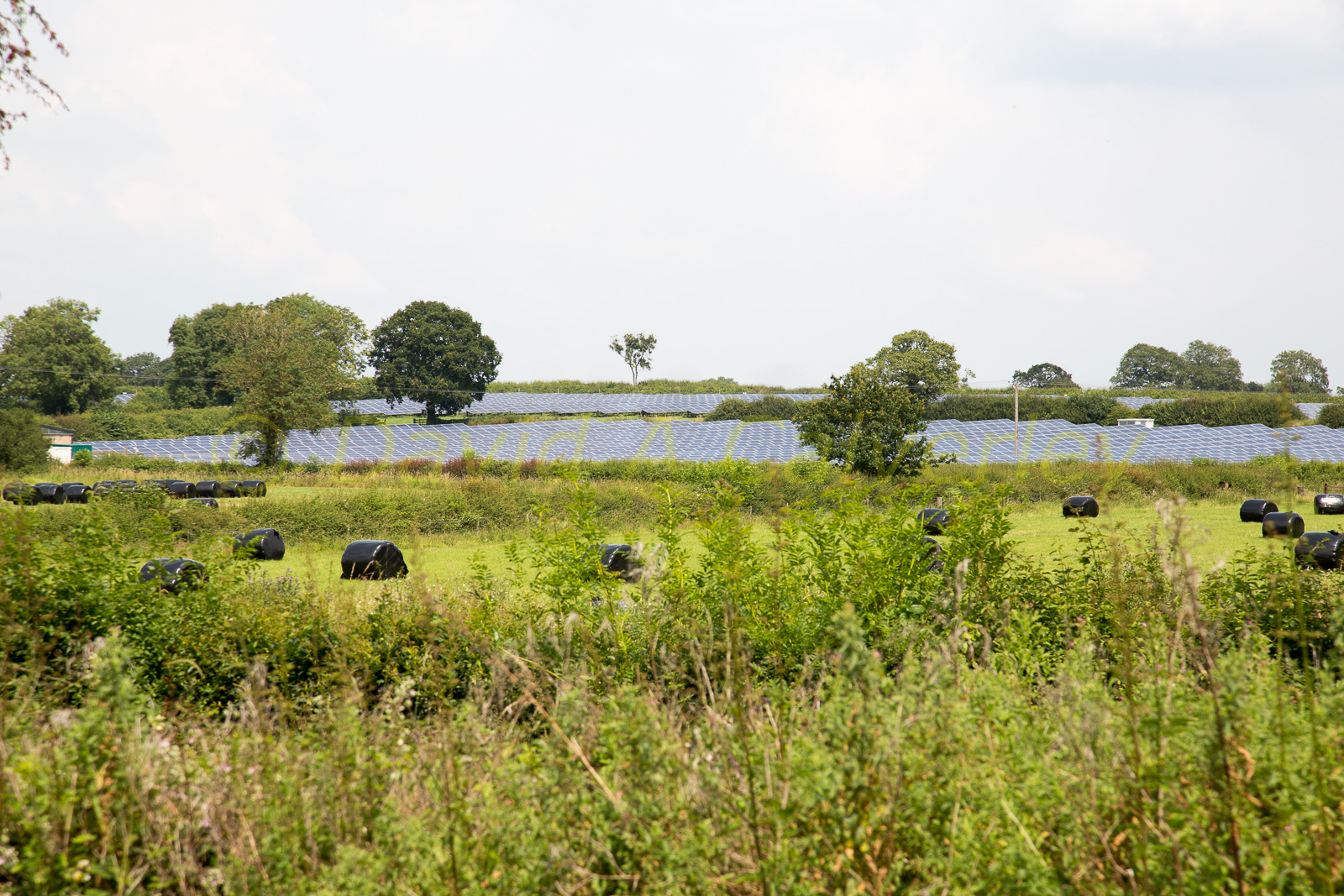 Ashby_De_La_Zouch_Canal-078.jpg